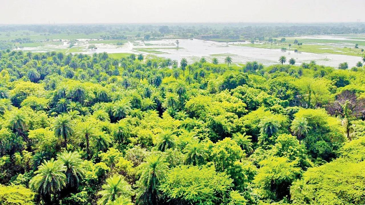 ભાઇશ્રી રમેશભાઈ ઓઝા 