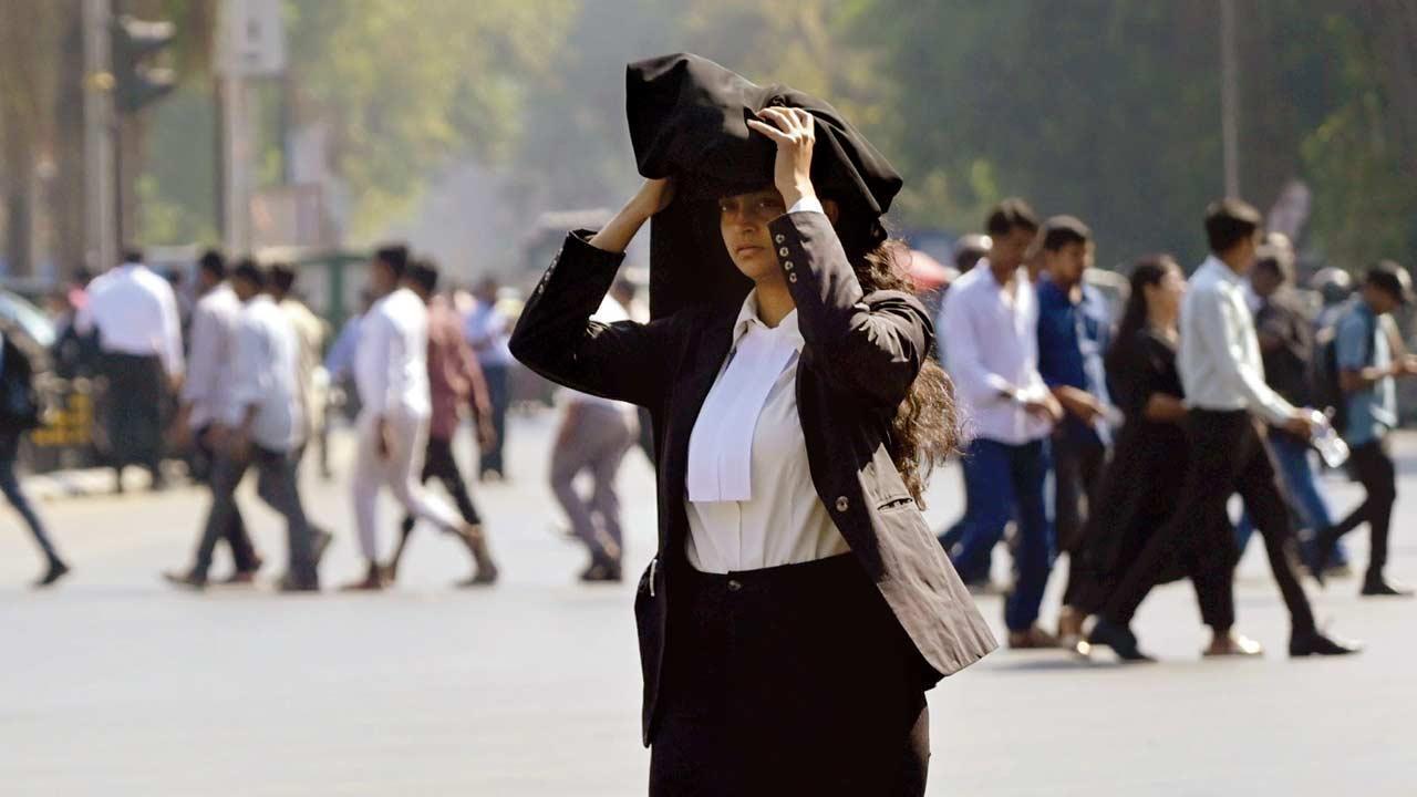 તસવીર : આશિષ રાજે