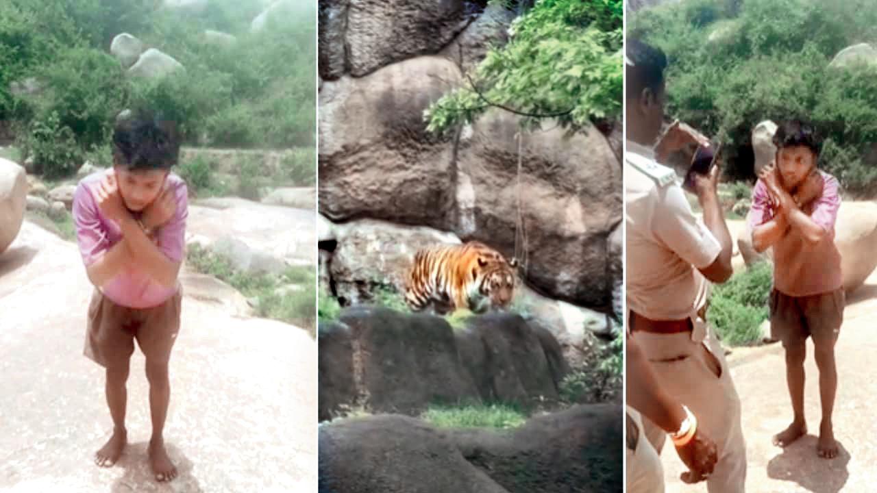 વાઘનો નકલી ફોટો બનાવનાર યુવાન પાસેથી પોલીસે કાન પકડાવ્યા