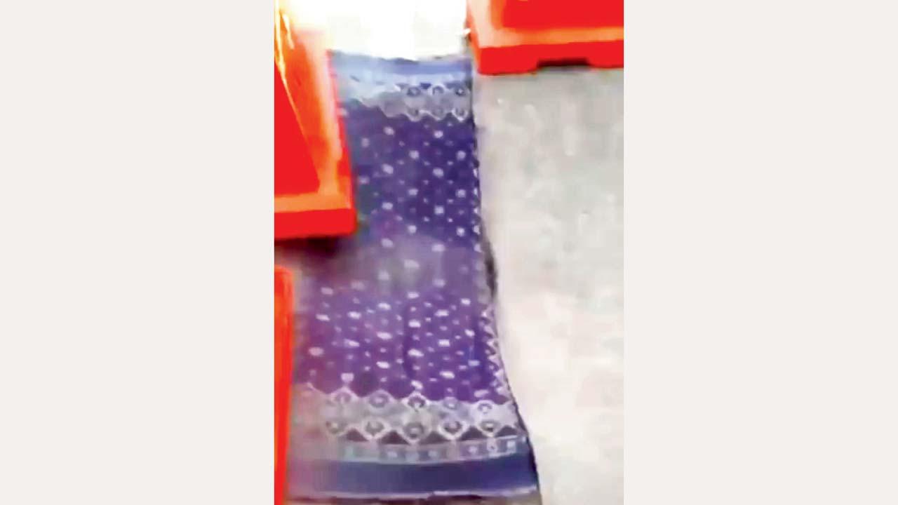 વાઇરલ વિડીયોમાંથી સ્ક્રીનશૉટ