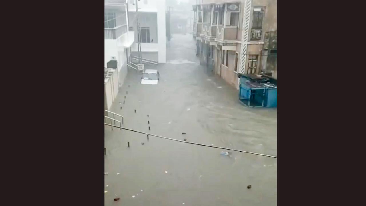 માંડવી
