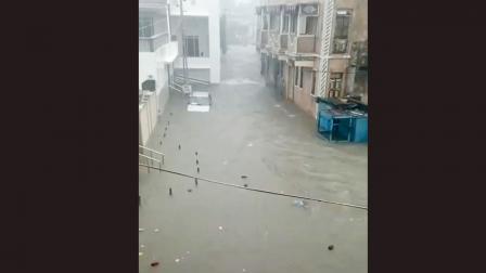માંડવી