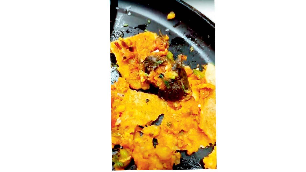 હોટેલમાં સર્વ કરેલા મૈસૂર મસાલા ઢોસામાં મળેલો મરેલો ઉંદર. 