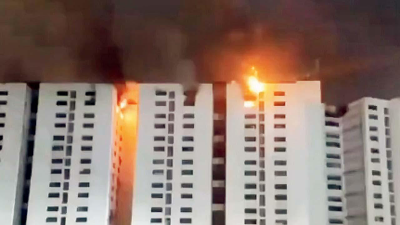 વાઇરલ વિડીયોમાંથી સ્ક્રીનશૉટ