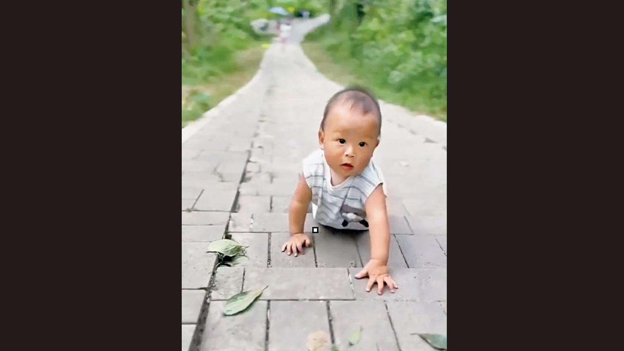 ૯ મહિનાના બાળકે પર્વત પર ચડાઈ કરી 
