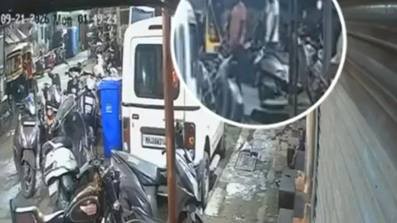 વાયરલ વીડિયોમાંથી સ્ક્રીનશૉટ