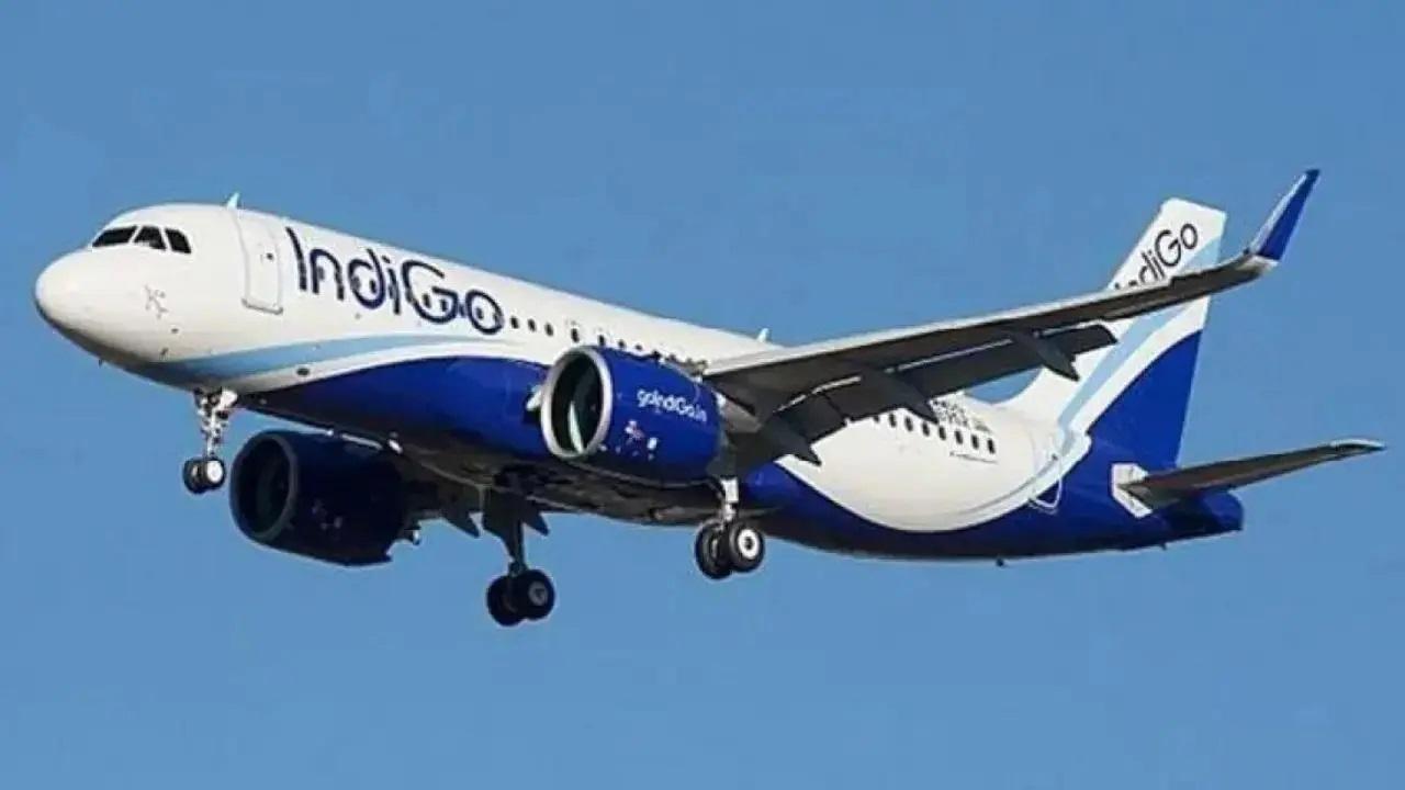 ઇન્ડિગો (ફાઈલ તસવીર)