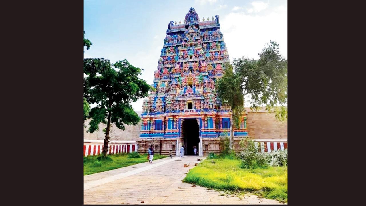   આ મંદિરમાં શિવની એકપાદ ત્રિમૂર્તિ છે જેમાં શિવજીમાંથી બ્રહ્મા અને વિષ્ણુ નીકળતા હોય એવું દેખાય છે.