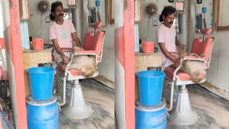 વાયરલ વીડિયોમાંથી સ્ક્રીનશૉટ
