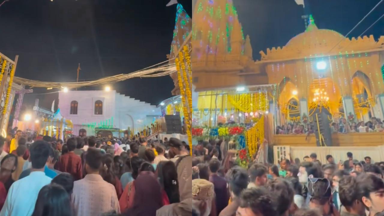 વાયરલ વીડિયોમાંથી સ્ક્રીનશૉટ