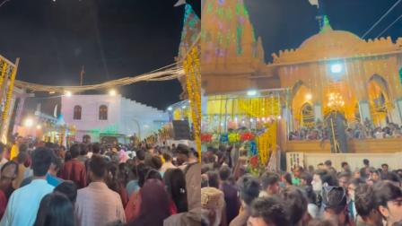 વાયરલ વીડિયોમાંથી સ્ક્રીનશૉટ
