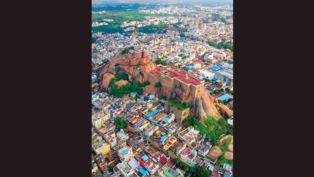ગુજરાતીઓ માટે ગિરનાર પર્વતનું માહાત્મ્ય અદકેરું છે એ રીતે દક્ષિણ ભારતીયોમાં હિમાલયની પર્વતમાળા પહેલાંના આ ખડકનું મહત્ત્વ વિશેષ છે.
