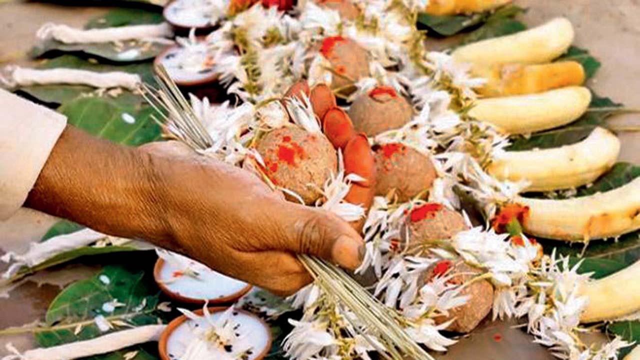 પ્રતીકાત્મક તસવીર