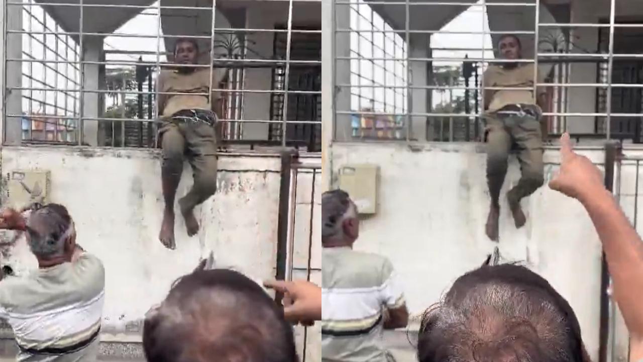 વાયરલ વીડિયોમાંથી સ્ક્રીનશૉટ