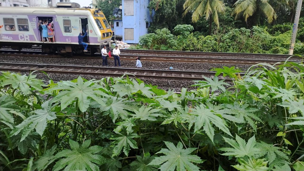 પ્રવાસી સંગઠને પોસ્ટ કરેલી વીડિયો