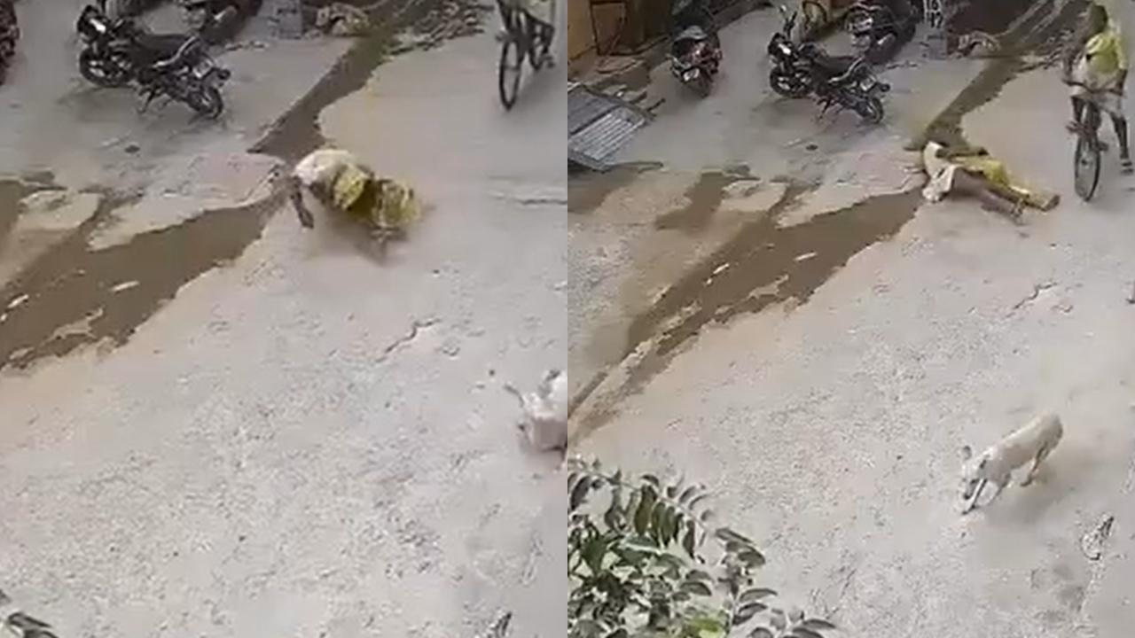 CCTV ફૂટેજનો સ્ક્રીનશૉટ