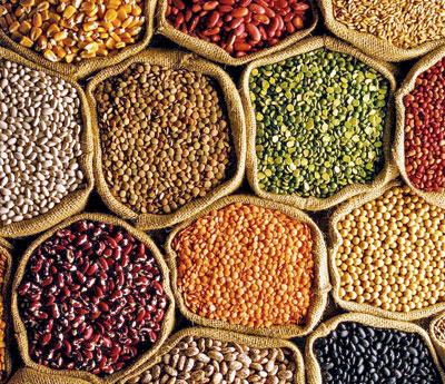 ચોમાસામાં લીલોતરી છોડો ને કઠોળ ખાઓ