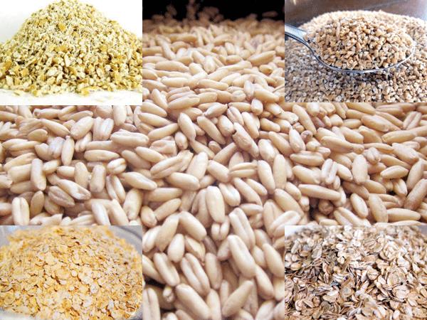 કયાં ઓટ હેલ્ધી કહેવાય? ક્વિક કે રેગ્યુલર?