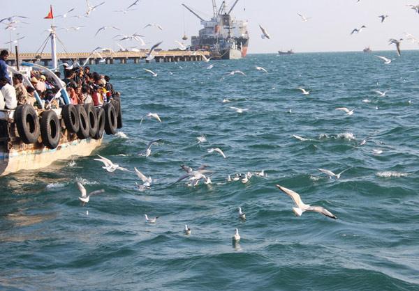 માંડવી-ઓખા વચ્ચેની મુસાફરી હવે બારને બદલે એક કલાકમાં