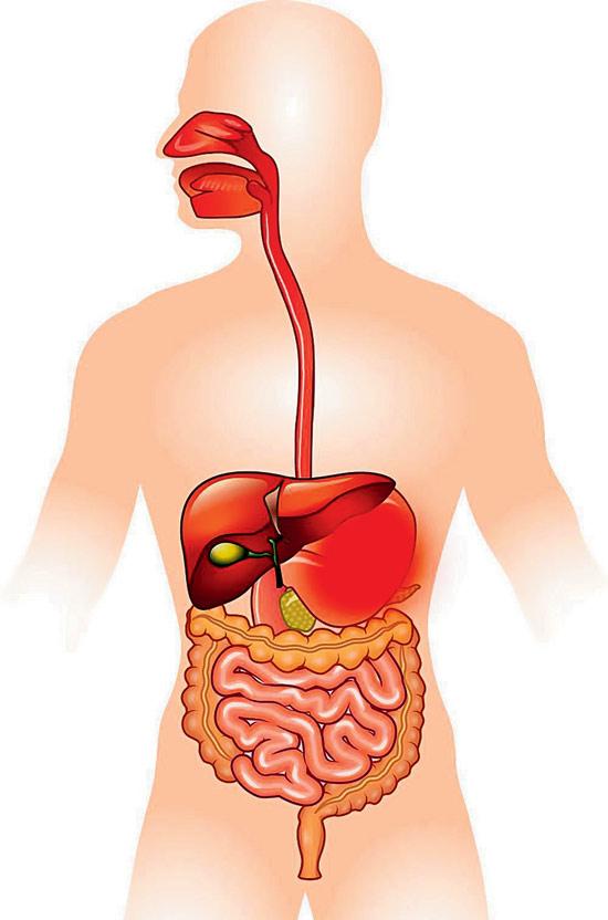 મોટા આંતરડા પર ફુગ્ગા ઊપસી આવે ત્યારે...