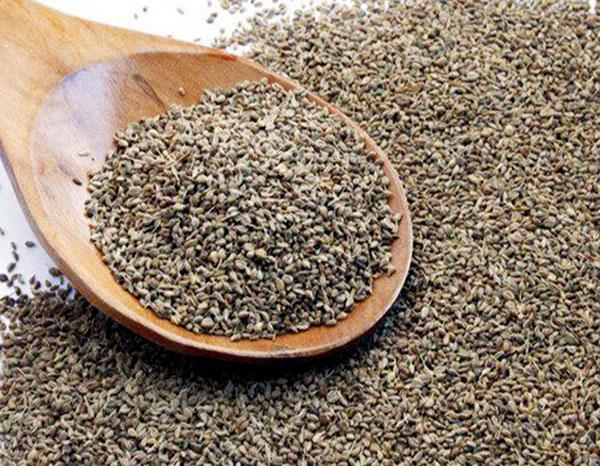 અસ્થમા, આફરો અને અપચો છે? તો અજમો અજમાવી જુઓ