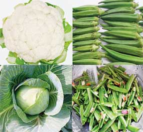 કયા શાકભાજી ક્યારે ખાવા ને ક્યારે નહીં?