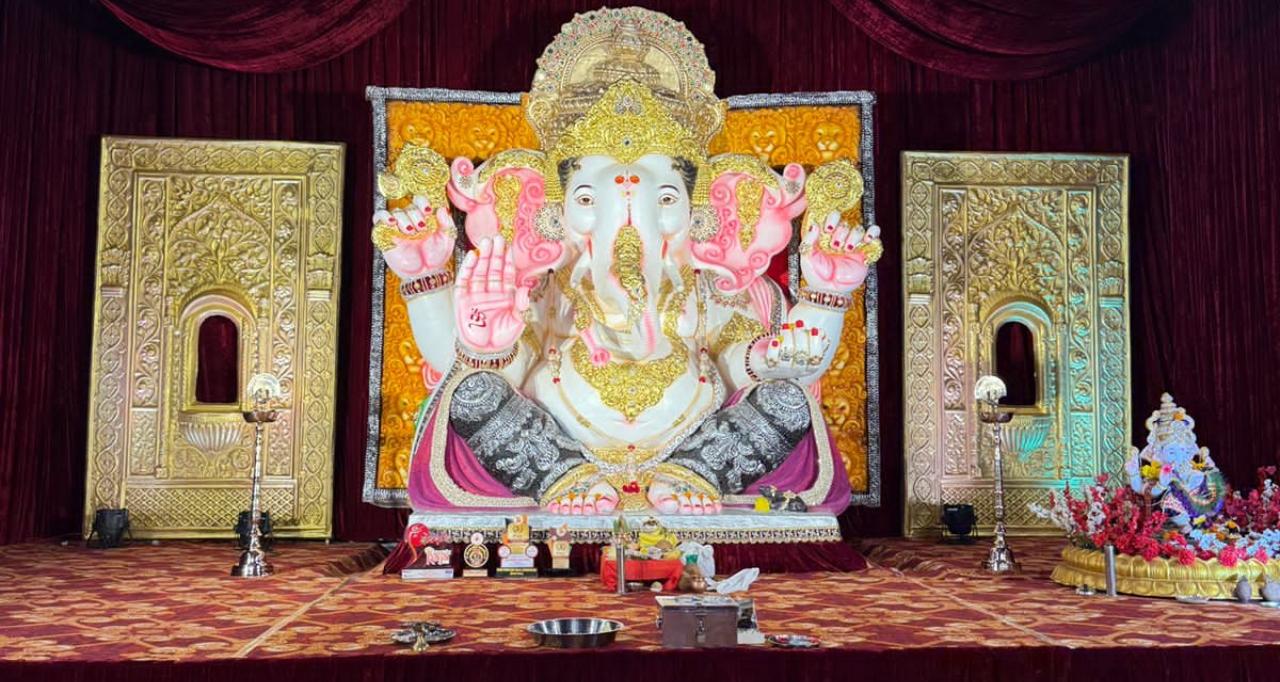 આ વર્ષે પણ 'મોદી પાર્કચા રાજા'એ રંગ રાખ્યો